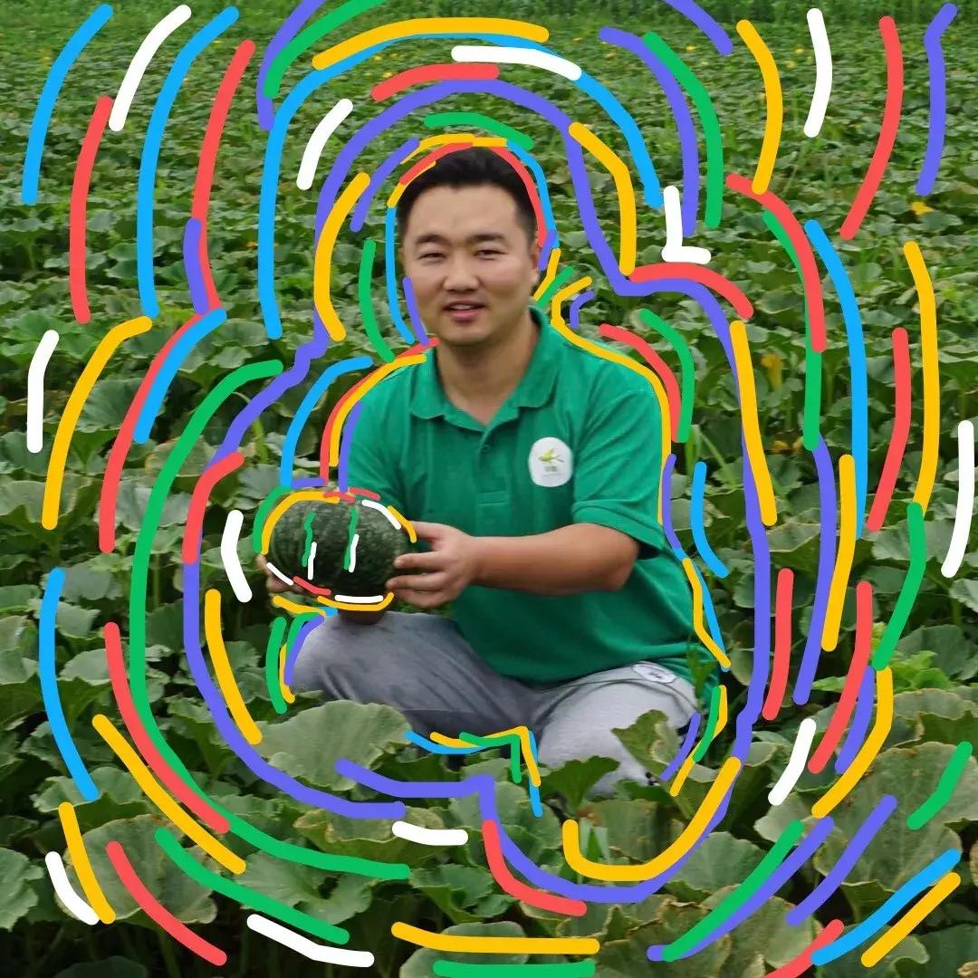 有机食品为什么更好吃,有机食品为什么那么贵