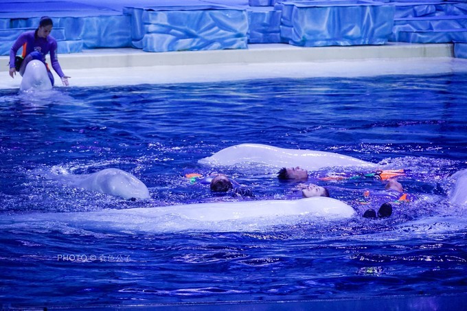 珠海横琴除了长隆还有什么东西玩,横琴有哪些景点可以玩儿