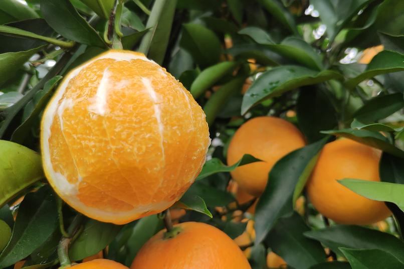 留守老人心酸,心酸留守老人