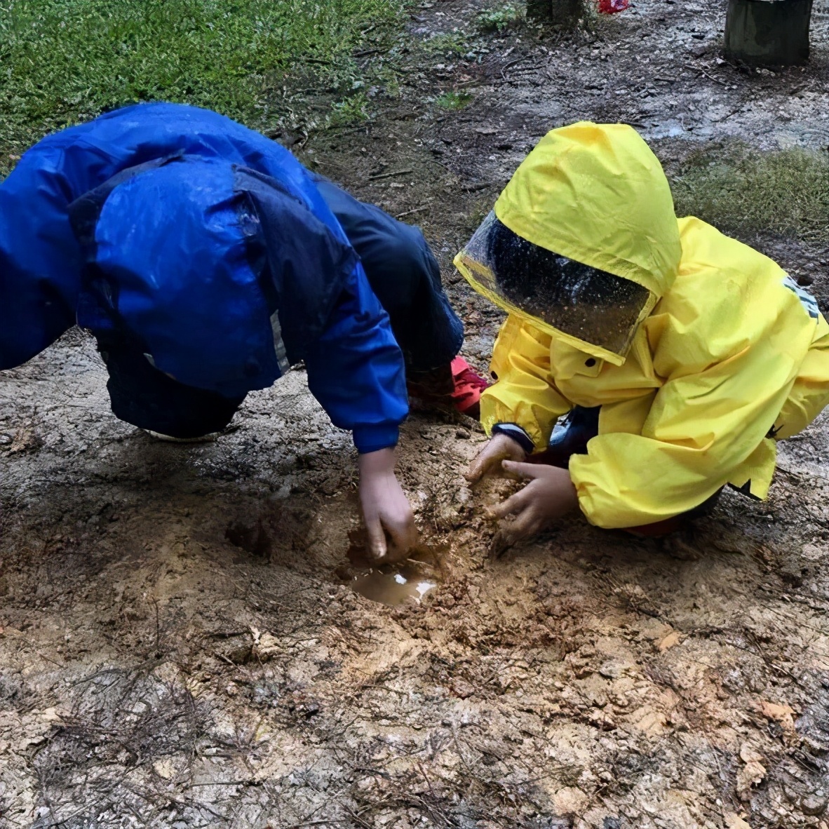 春日自然教育,春日茶语正能量