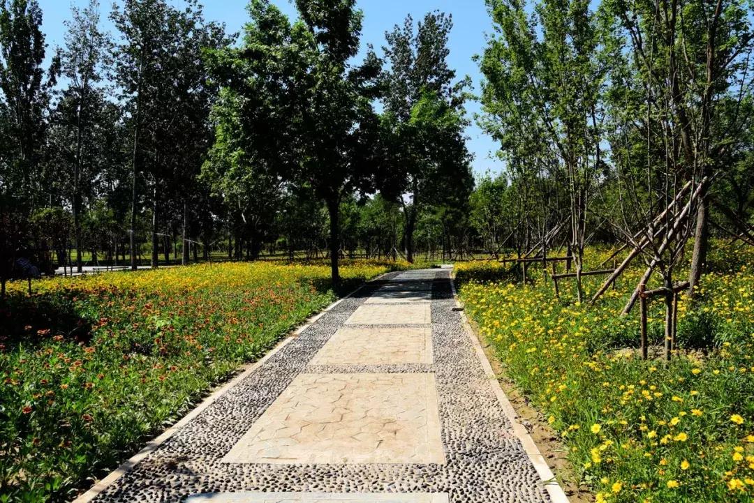 昌平公园最新介绍,北京昌平最新开放公园