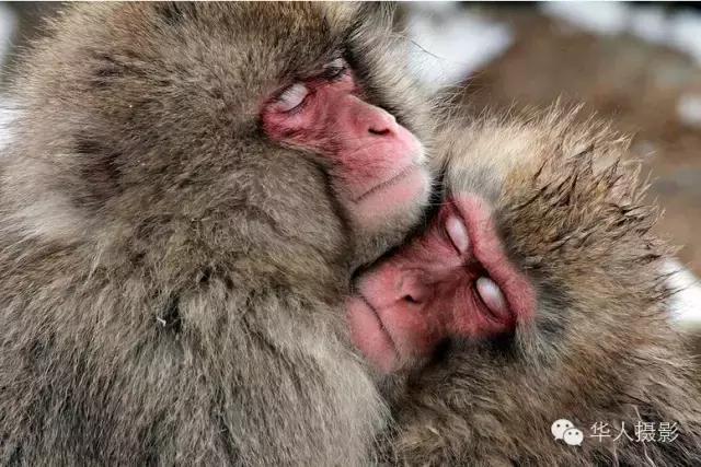 大美中国主题摄影作品征集启事,第五届华人摄影展入选名单