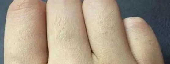 冷知识坑爹问答,冷知识扎心语录