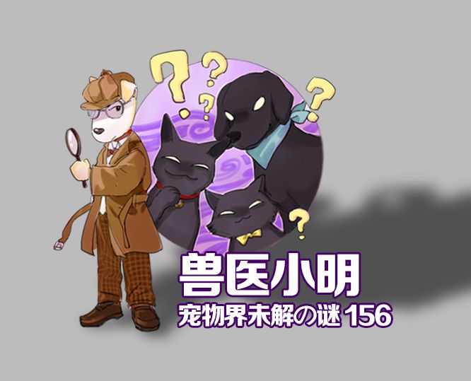 狗狗一直流口水这是什么问题,狗狗一直流口水是不是中毒了