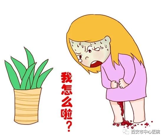 三八妇女节放假温馨提示,三八妇女节抗疫