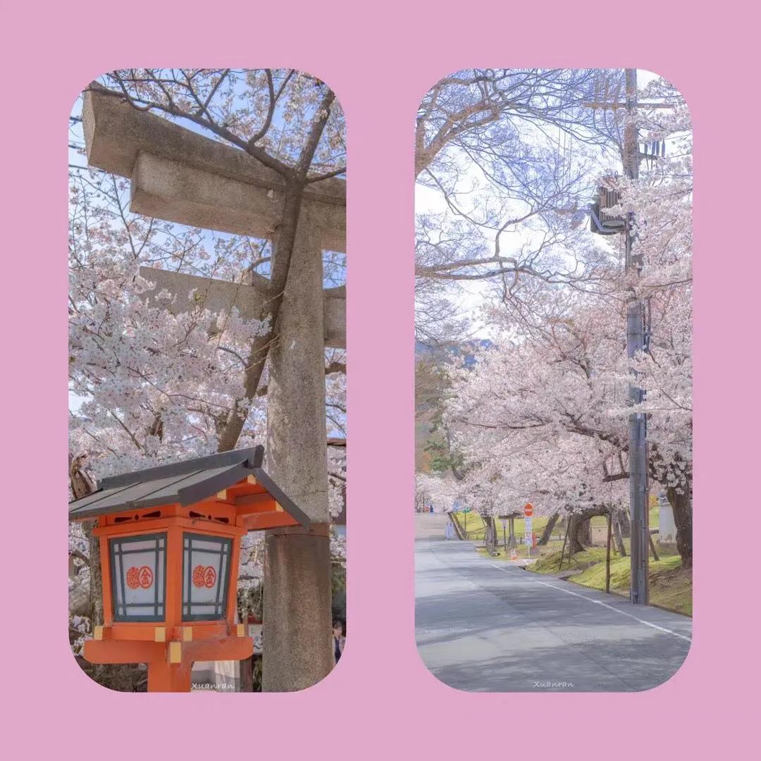 超好看的手机壁纸套图,手机壁纸套图高级简约卡通