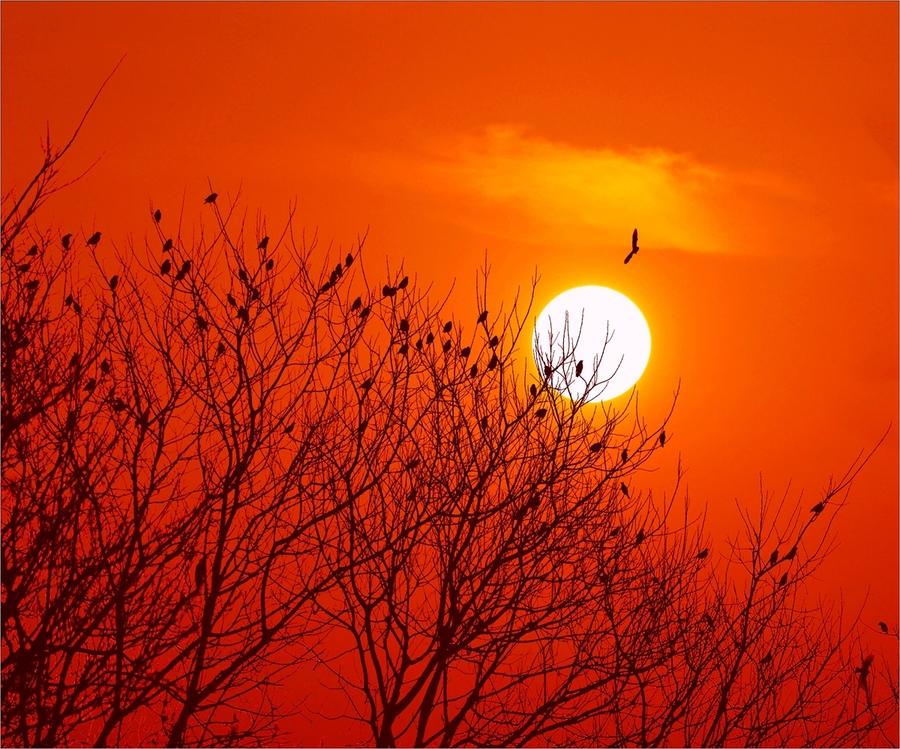 历史上名气最高的元曲,一项赞誉是超越唐诗宋词而得到的