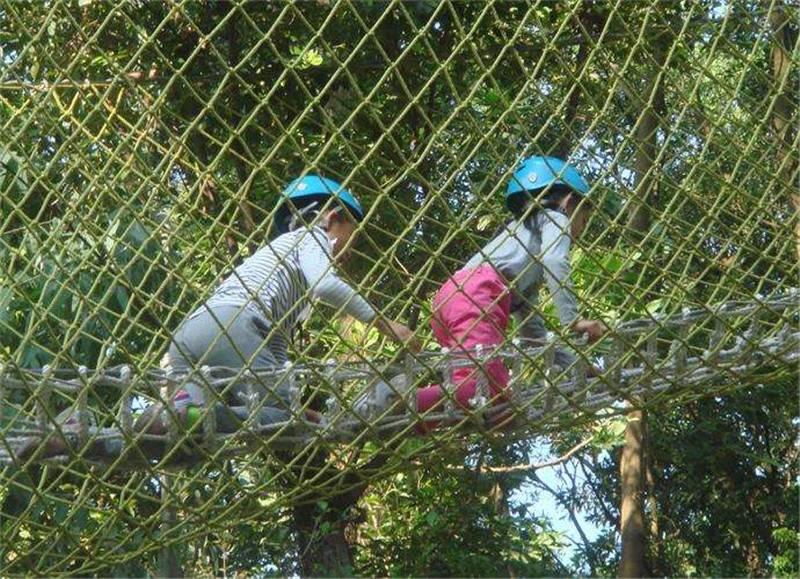 亲子户外丛林探险,儿童丛林探险地方