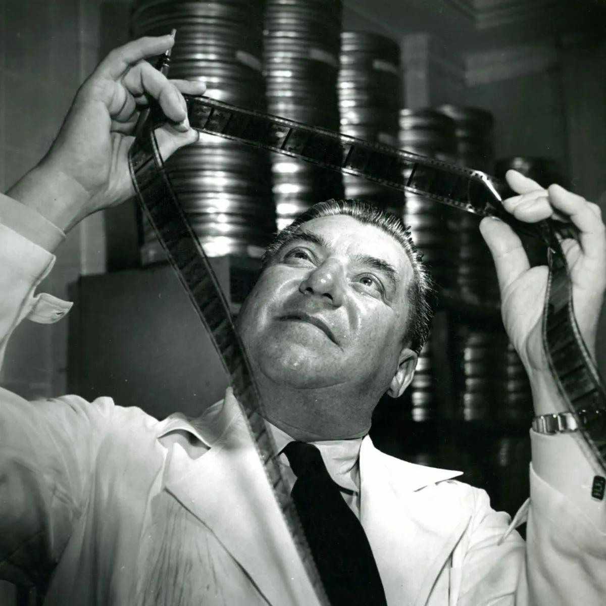 反纳粹德国的动画,纳粹德国出的动画