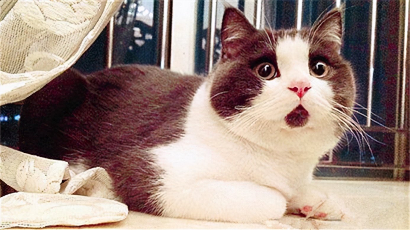 「原创」来一起认识一下朋友发来的光模块