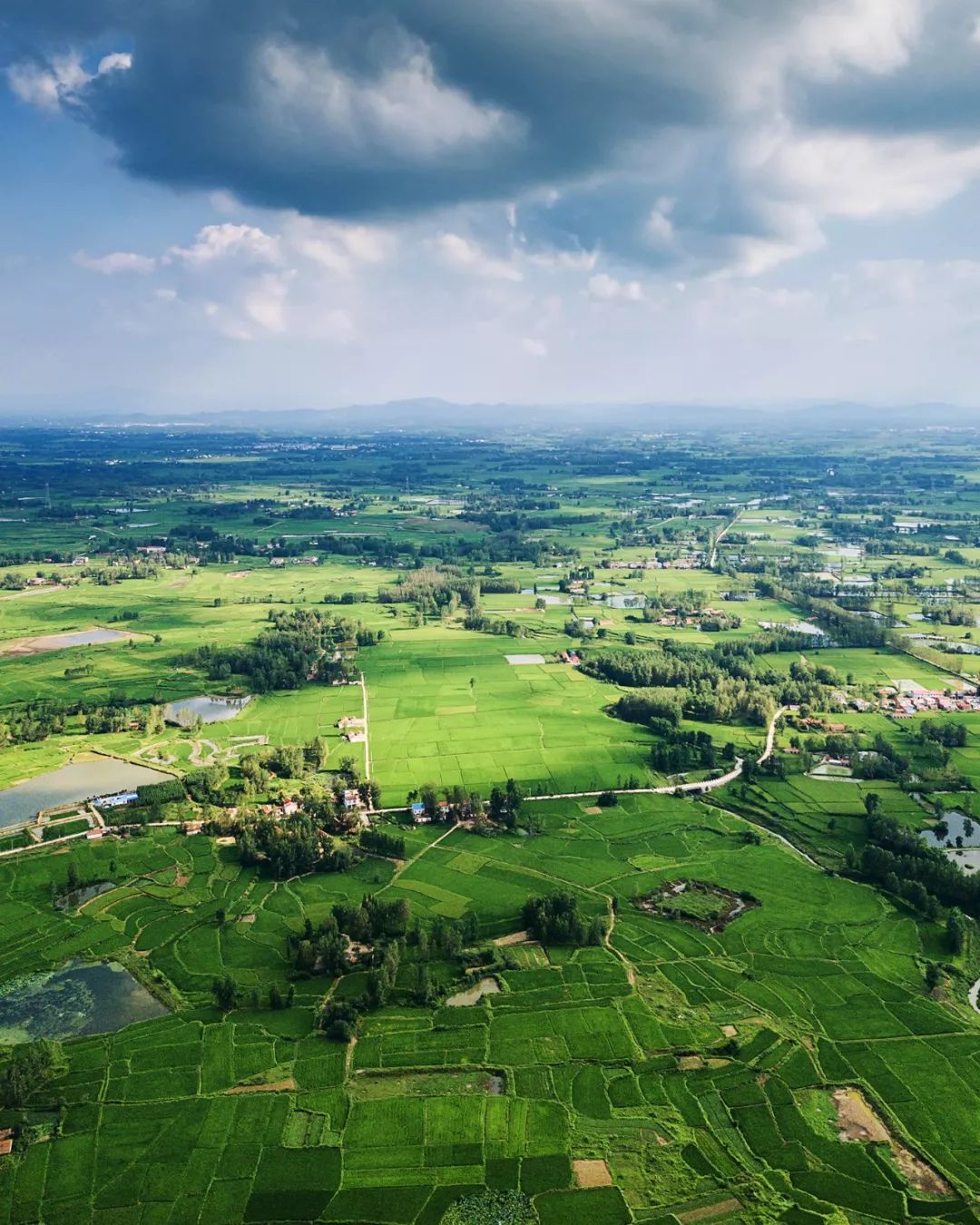 信阳人和河南人的关系,河南人与信阳人