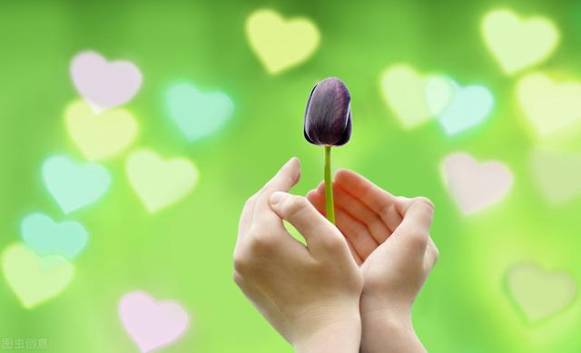 心理抚慰情感咨询,心理咨询为什么可以疗愈人心