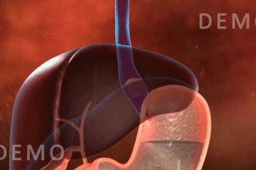 浣犵殑韬綋鍒板簳闀夸粈涔堟牱,浣犵煡閬撲綘鐨勮韩浣撻暱鍟ユ牱瀛愬悧