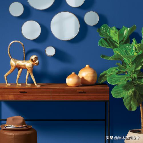 pantone2024年度代表色,pantone发布2024年度代表色