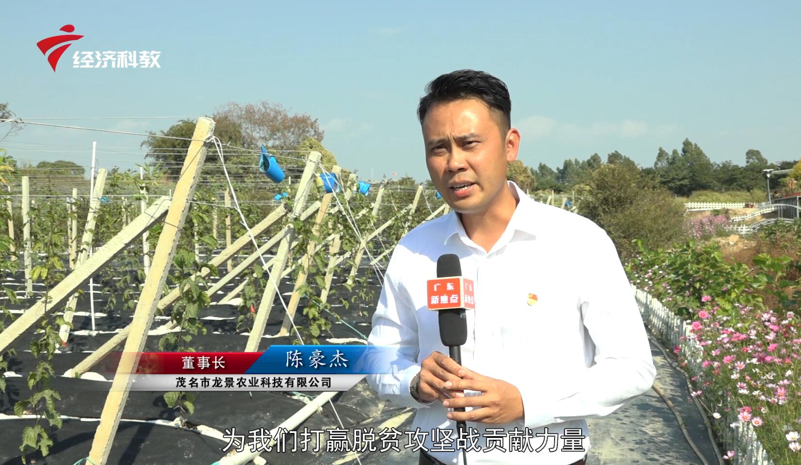 龙景农业,广东新闻联播经济社会发展