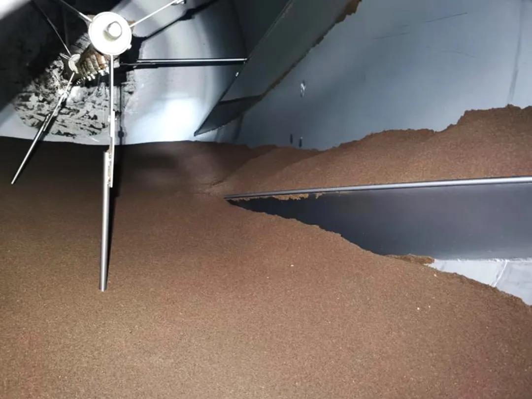 生物发酵饲料的市场前景,中国生物发酵饲料有哪些