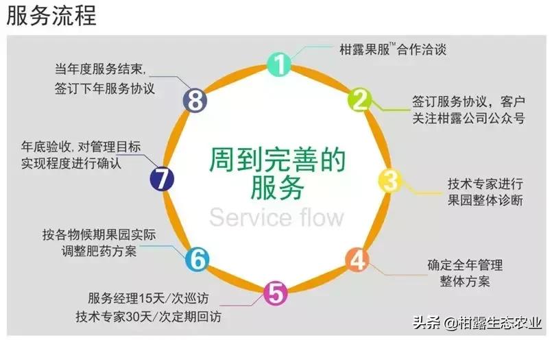 瓯萌瓯柑招聘,芒宽橘子地招工