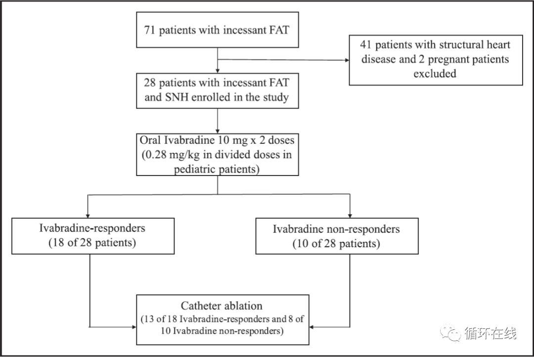 「彤心飞传」局灶房性心动过速治疗的新策略：伊伐布雷定