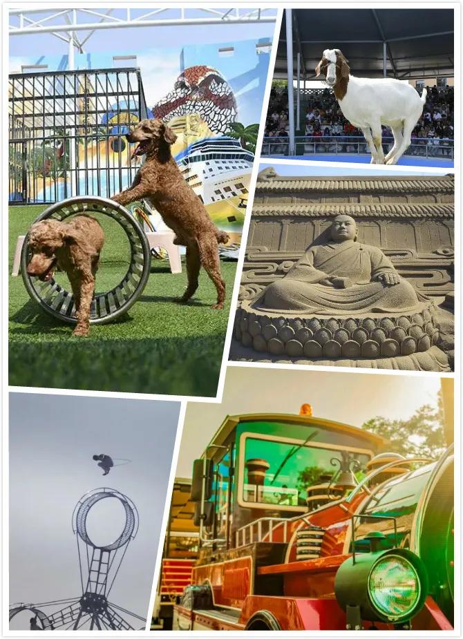 乘风破浪团队激励,乘风破浪团队比赛