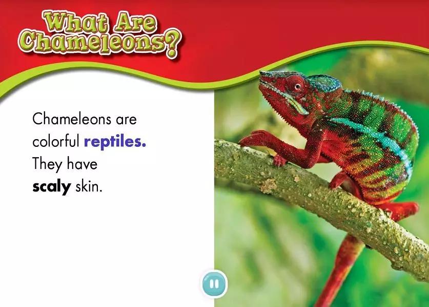 十大有趣的宝藏网站,十大实用宝藏网站