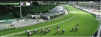 香港赛马持续百年，缘何经久不衰？