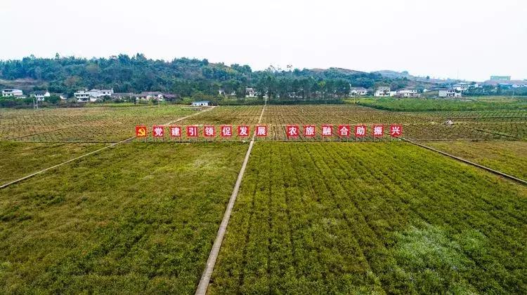 犍为美丽的风景,大犍为的风景就是漂亮