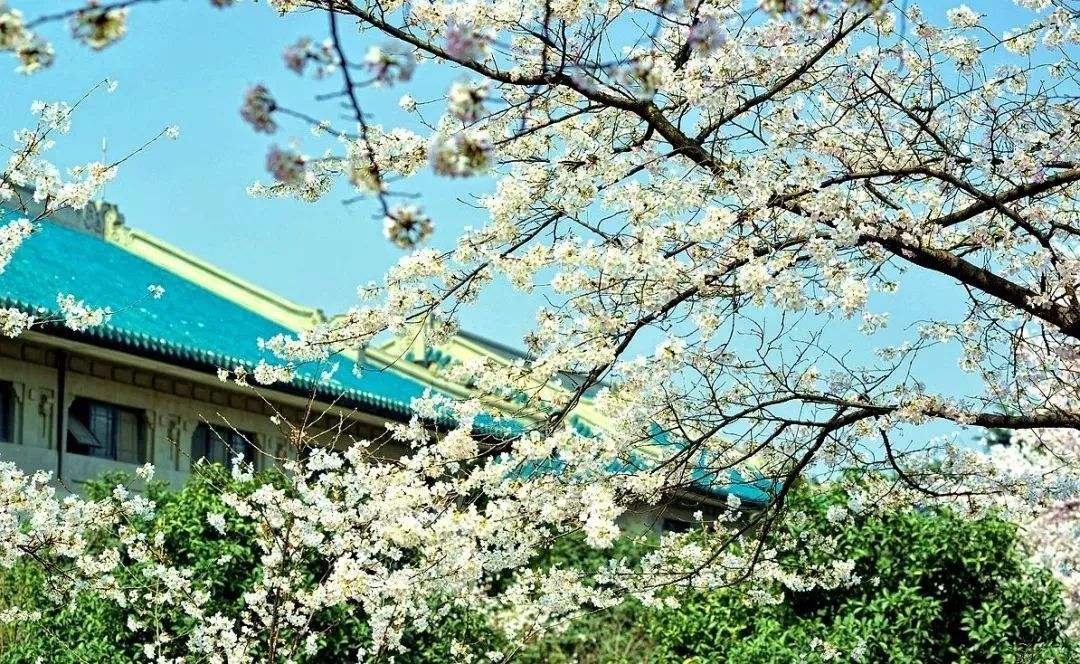 为什么西安能成为中国高校第三城,中国城市大比拼杭州和成都