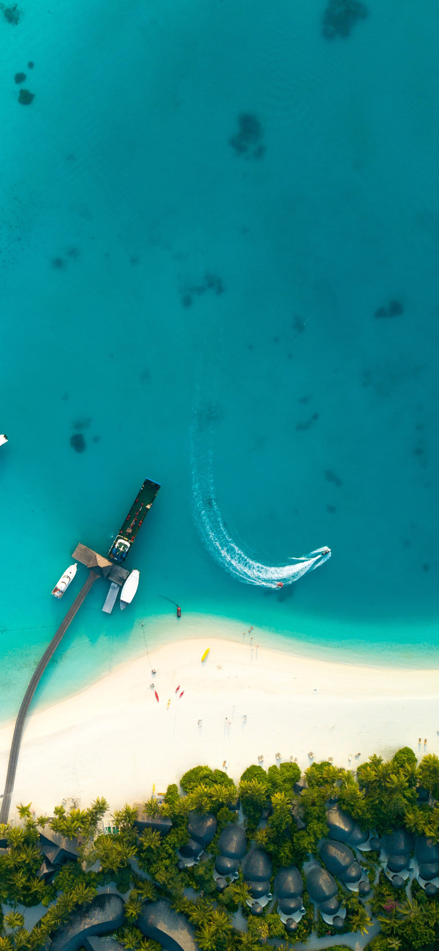 蓝天大海沙滩椰树图片高清壁纸,太阳蓝天大海海鸥的壁纸