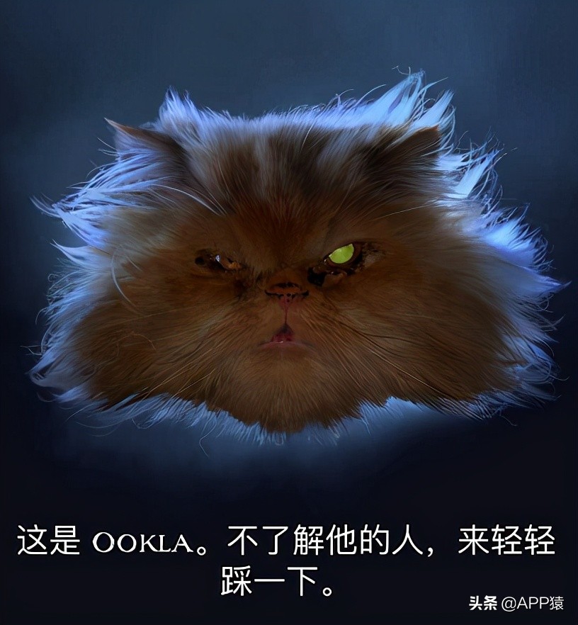 网速测试app哪个好,免费的网速测试app哪个好