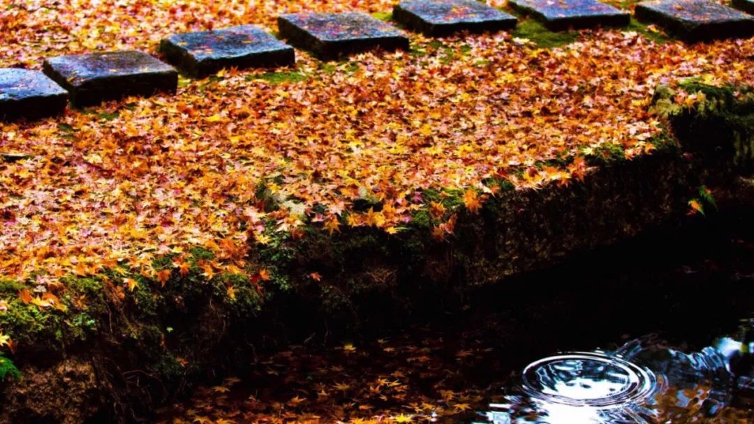 中华经典诵读作品100篇,古文经典诵读版