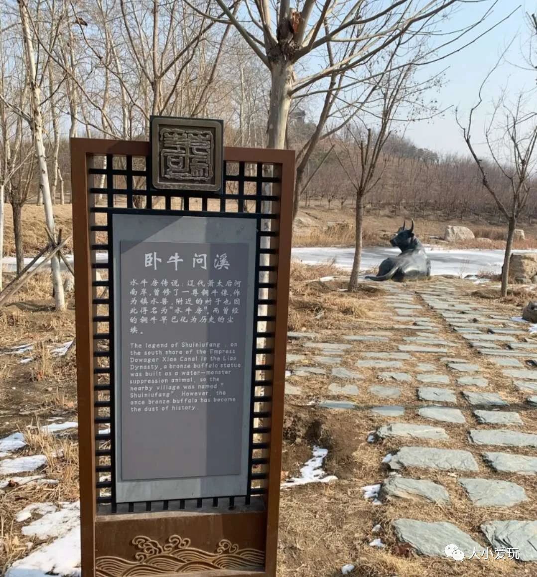 北京适合踏春旅游景点,北京春天看花的景点推荐