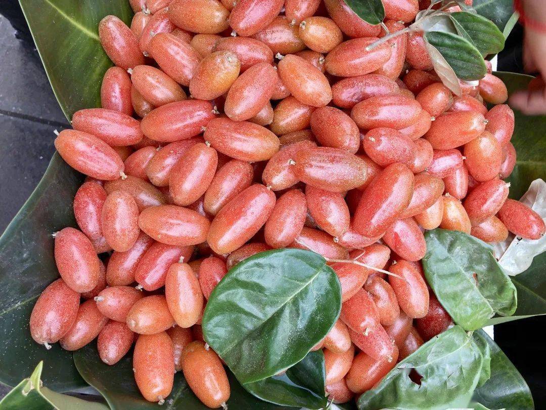 云南带毒的美食,云南带菌的美食