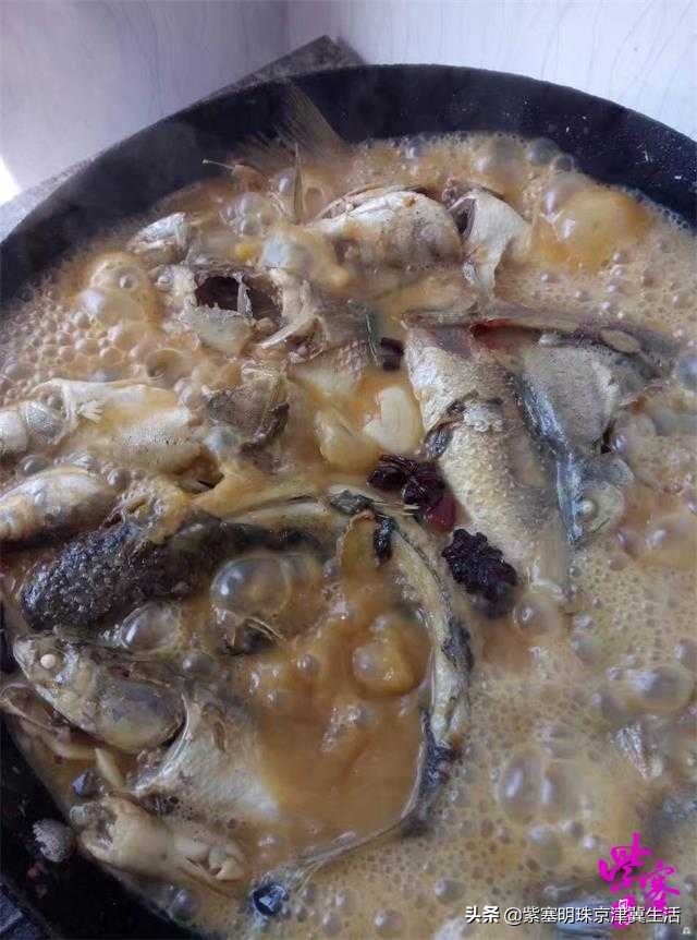 韩姐在乐亭农家最新视频,唐山乐亭韩姐农家院电话