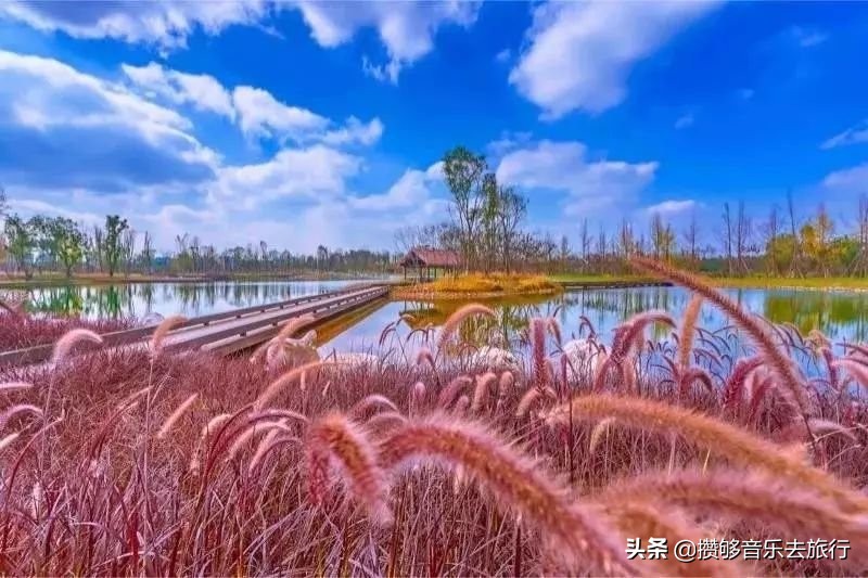 成都散步绿道有多好,逛绿道看风景