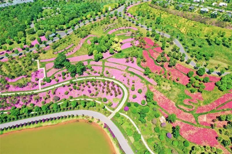 适合去旅游的云南小镇,云南旅游十日游特色小镇