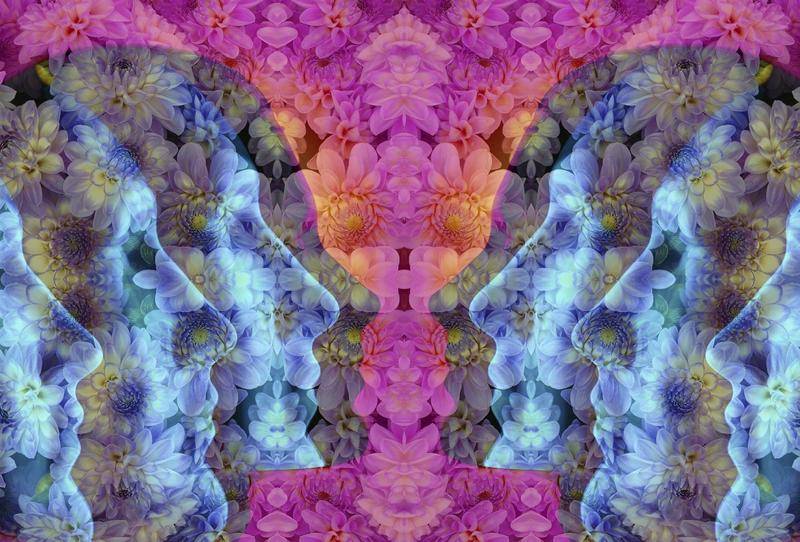 “迷幻蘑菇”治疗抑郁症有了新证据，迷幻药市场正兴起专利潮