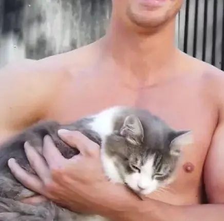 澳大利亚慈善消防员,澳大利亚消防员拯救动物