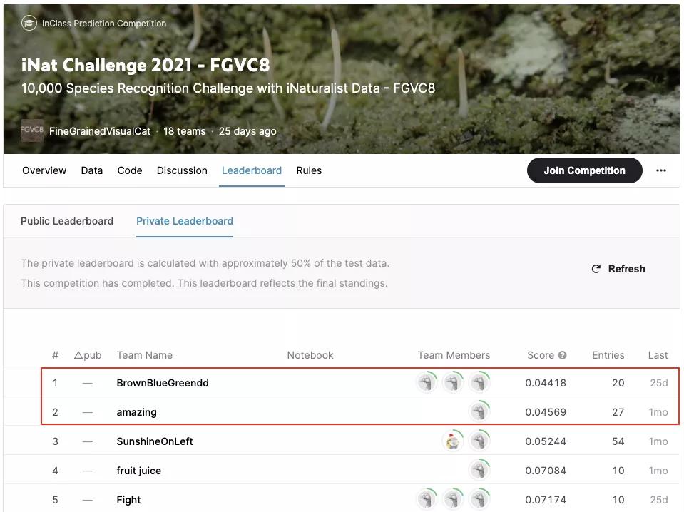 字节跳动组织深度解析,字节跳动2020csr报告