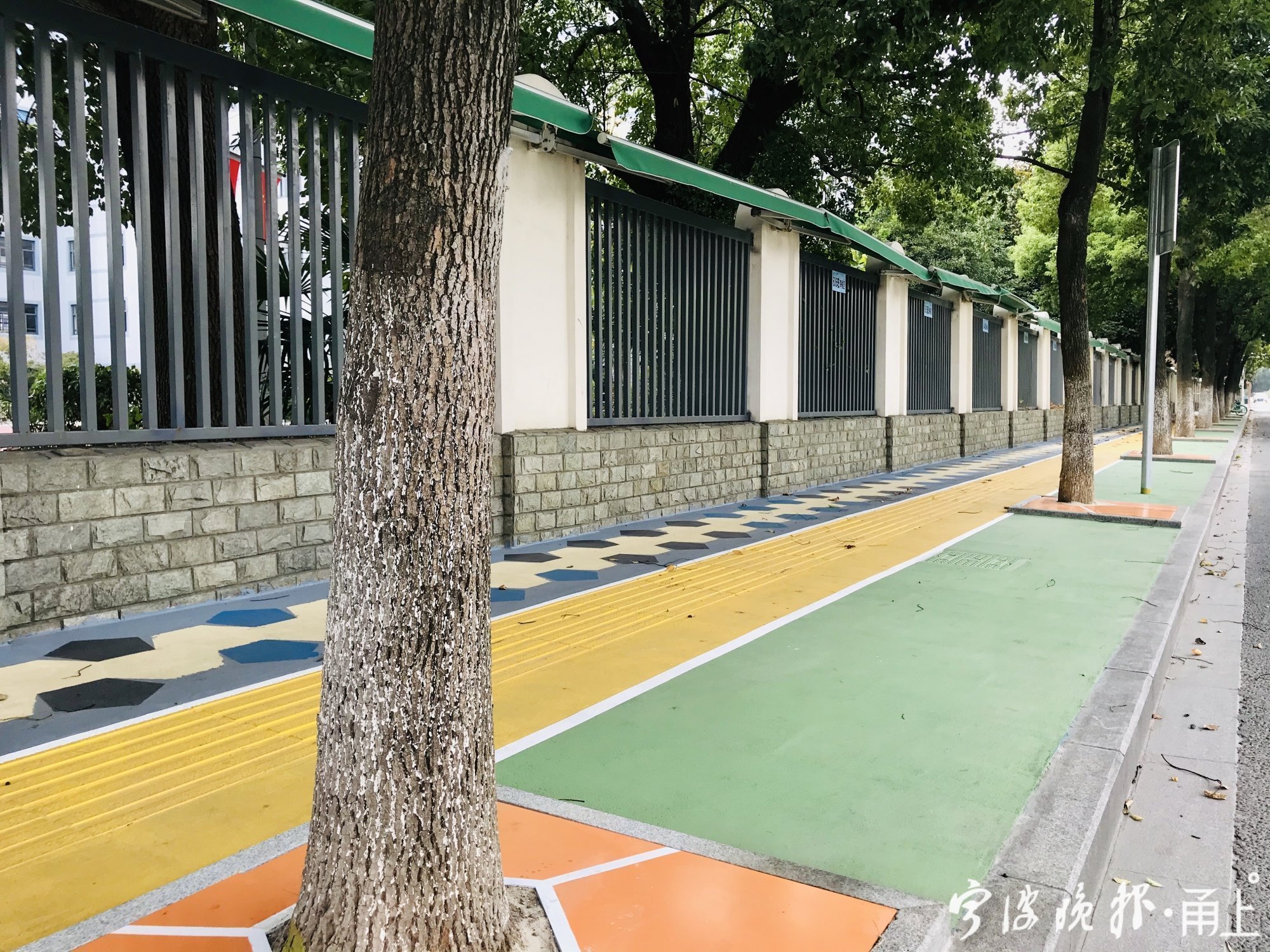 宁波最美上学路,宁波鄞州区新增5条最美上学路