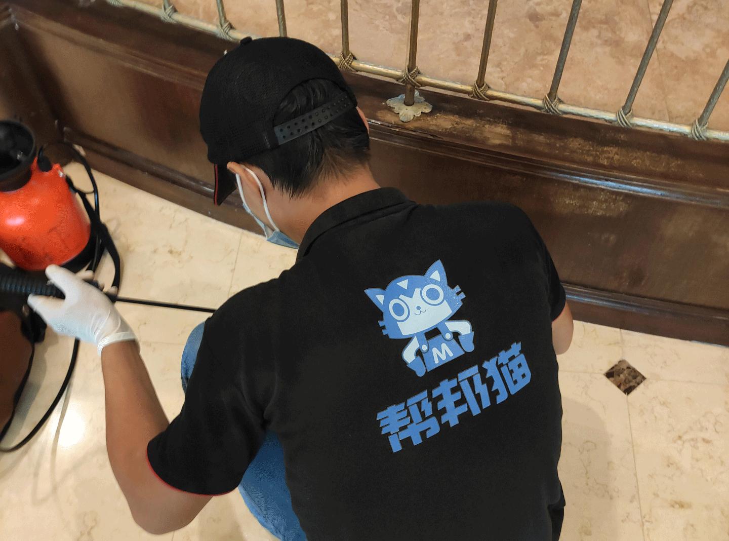 广州越秀区灭老鼠最好的方法,广州灭老鼠