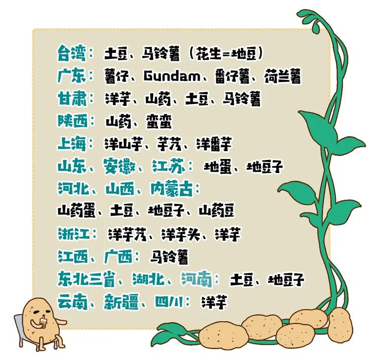 一个马铃薯能做什么,一个马铃薯可以做什么