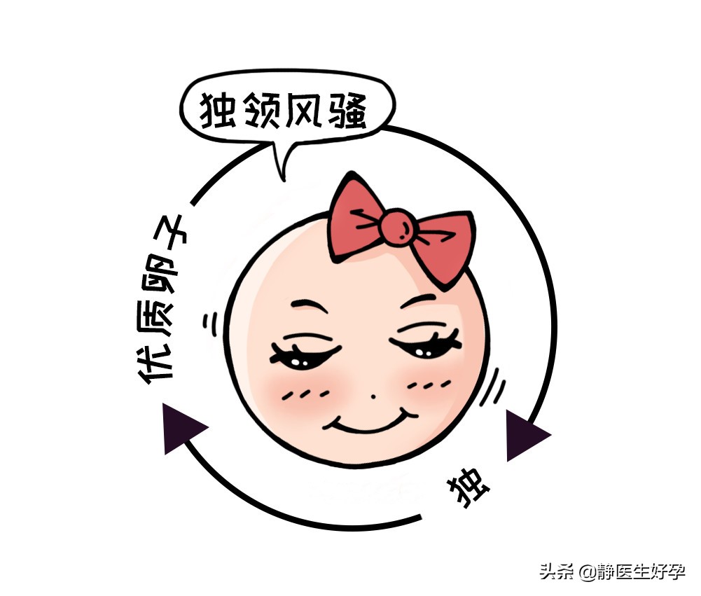 静医生备孕：只需一招，就能帮你把卵泡养的又大又好！