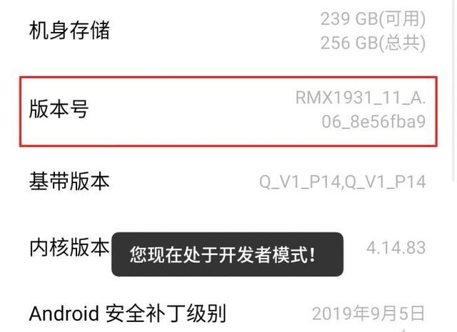 手机禁区神秘的开发者,手机开启了开发者选项有什么问题