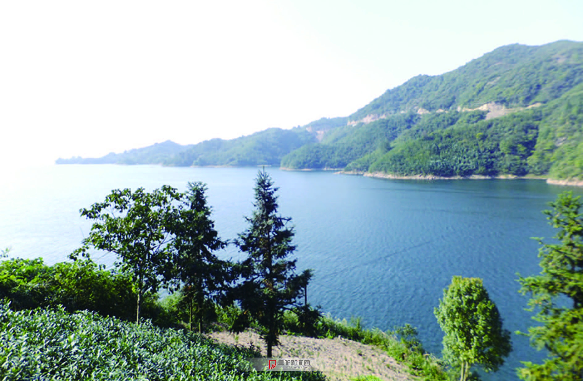 阜阳人去金寨开民宿!租下后,山上长的板栗樱桃竹笋都是你的