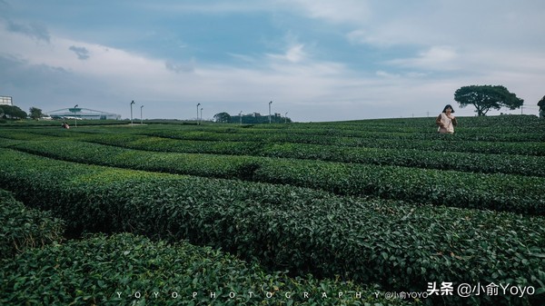 济州岛最值得去的地方,来济州岛第一天去哪玩