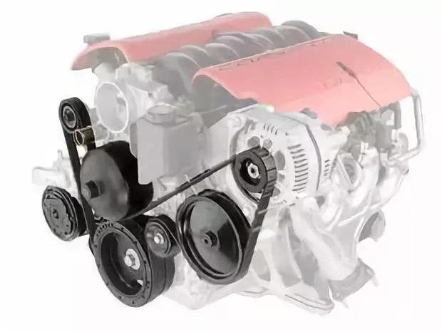 猫总是钻入汽车发动机舱如何处理,如何防止小猫钻进发动机舱