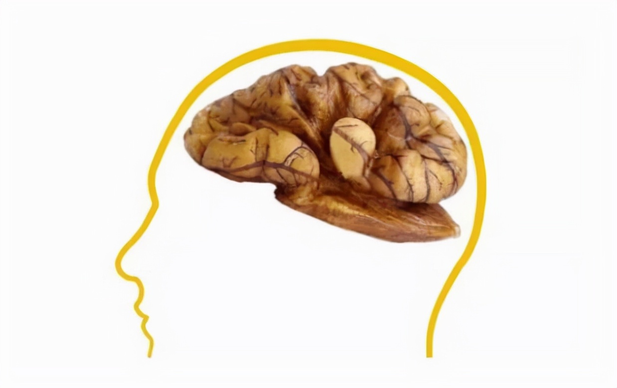 长期吃核桃对人有什么好处,经常吃核桃有哪些好处和坏处