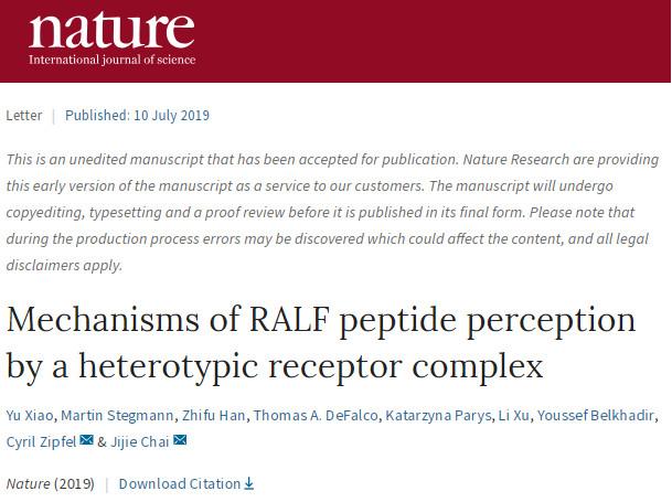 中国冷冻电镜技术进展,冷冻电镜最新研究