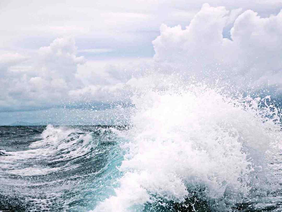 他们为什么去创业,他们为啥选择返乡创业