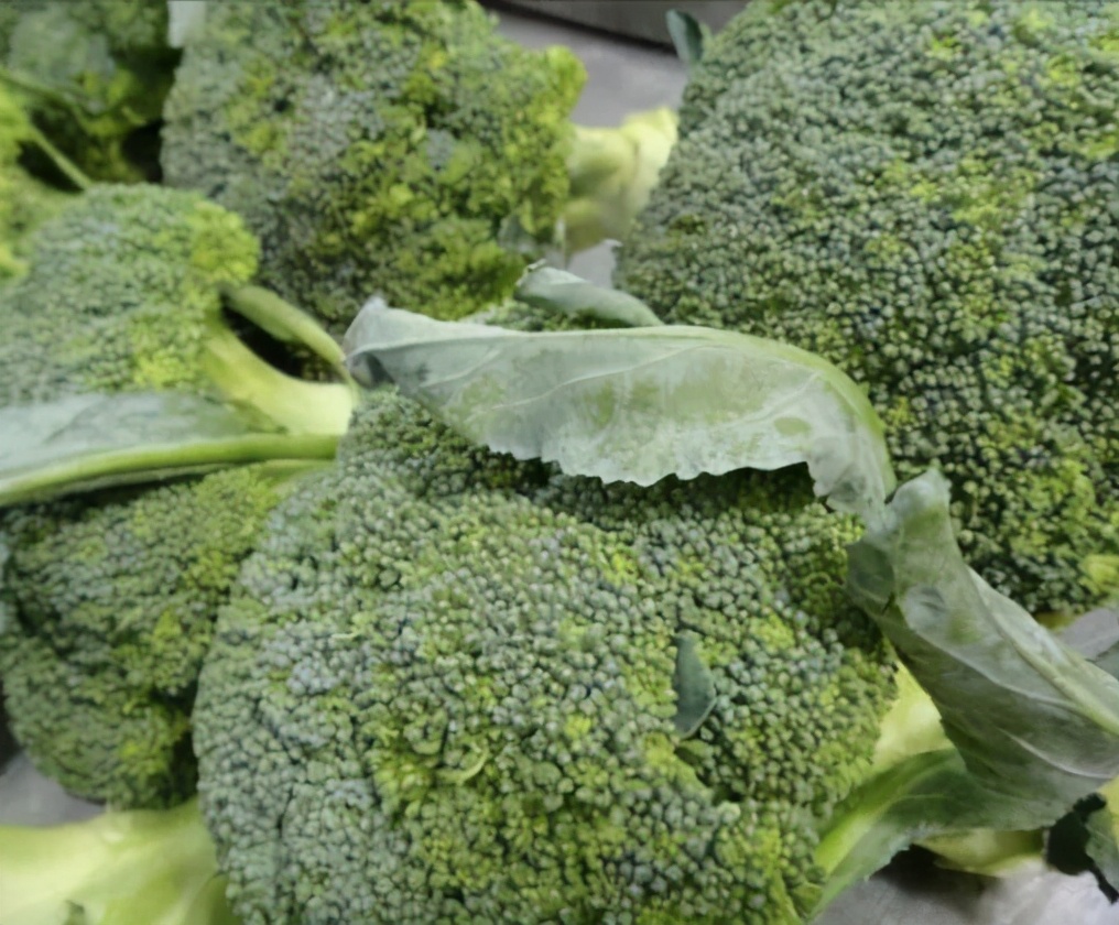 春季菜花种植管理,菜花种植管理技术